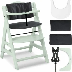 Hochstuhl Alpha Plus Mint - im Sparset inkl. Essbrett Click Tray + Sitzkissen - Charcoal