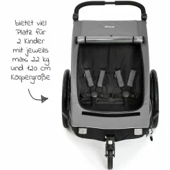 2in1 Fahrradanhänger Dryk Duo für 2 Kinder (bis 44 kg) - Bike Trailer & City Buggy - Grey