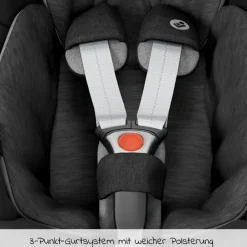4in1 Kombi-Kinderwagen-Set Litetrax Pro bis 22 kg belastbar mit Babywanne Ramble, Babyschale Pebble Pro, Isofix-Basis, Activity-Trapez, Schmusetuch, Greifling, Adapter & Zubehörpaket - Laurel - Kollektion 2025