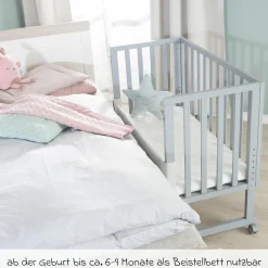 3in1 Stubenbett, Beistellbett, Bank & Matratze & Nestchen Roba Style - Silbergrau - Taupe