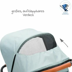 Jogger & Sportwagen Run mit Babywanne bis 22 kg belastbar mit Lufträder, Knickschieber, Liegeposition & Handbremse - Salbei Melange