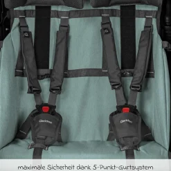 Kinderfahrradanhänger & Buggy Qupa 2 Plus für 2 Kinder (bis 60 kg) mit Kupplung, Blattfeder-Dämpfsystem, 3in1 Verdeck - Mineral Blue