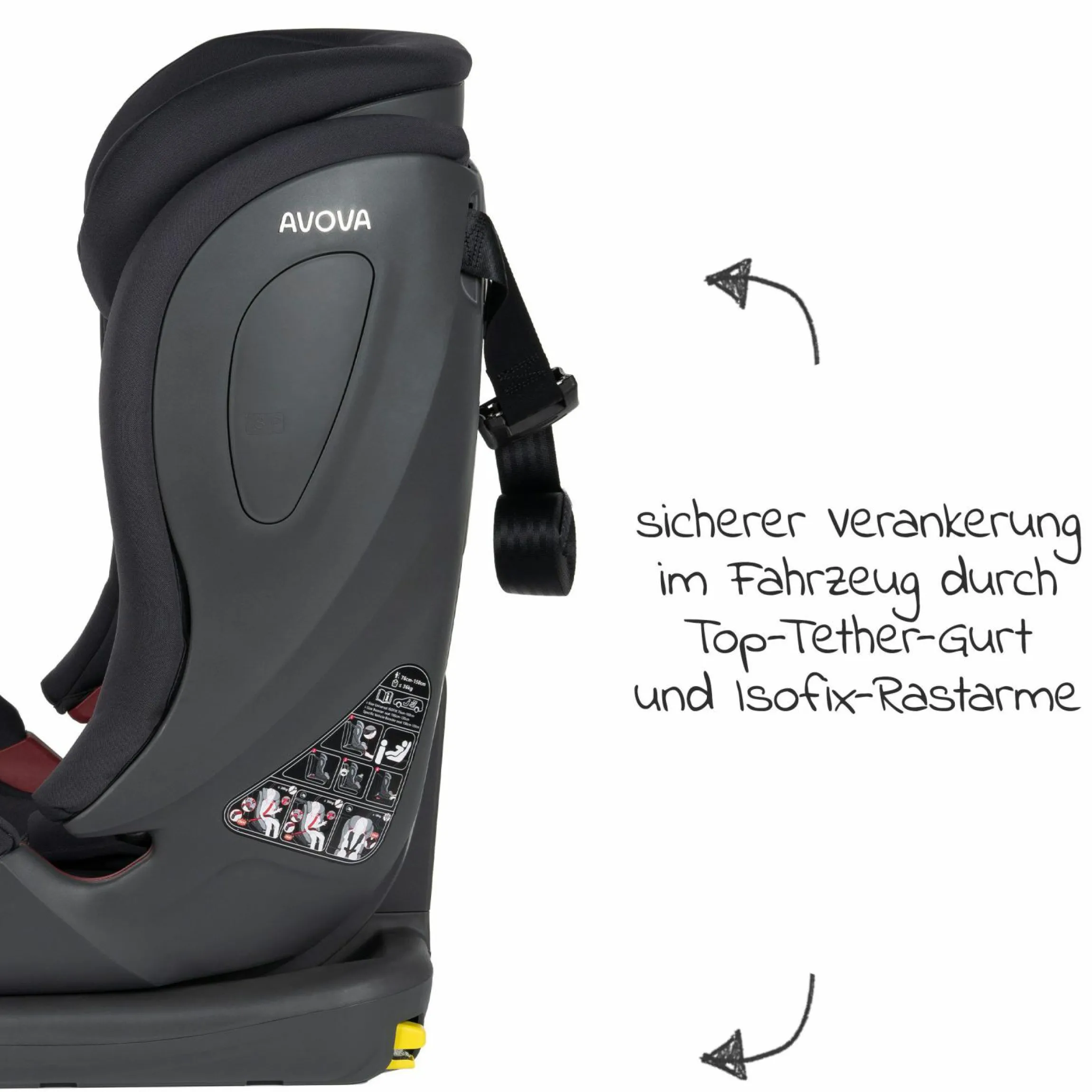 Kindersitz Sperling-Fix i-Size 76 cm - 150 cm / ab 15 Monate bis 12 Jahre mit Isofix & Top Tether - Koala Grey - Kollektion 2024