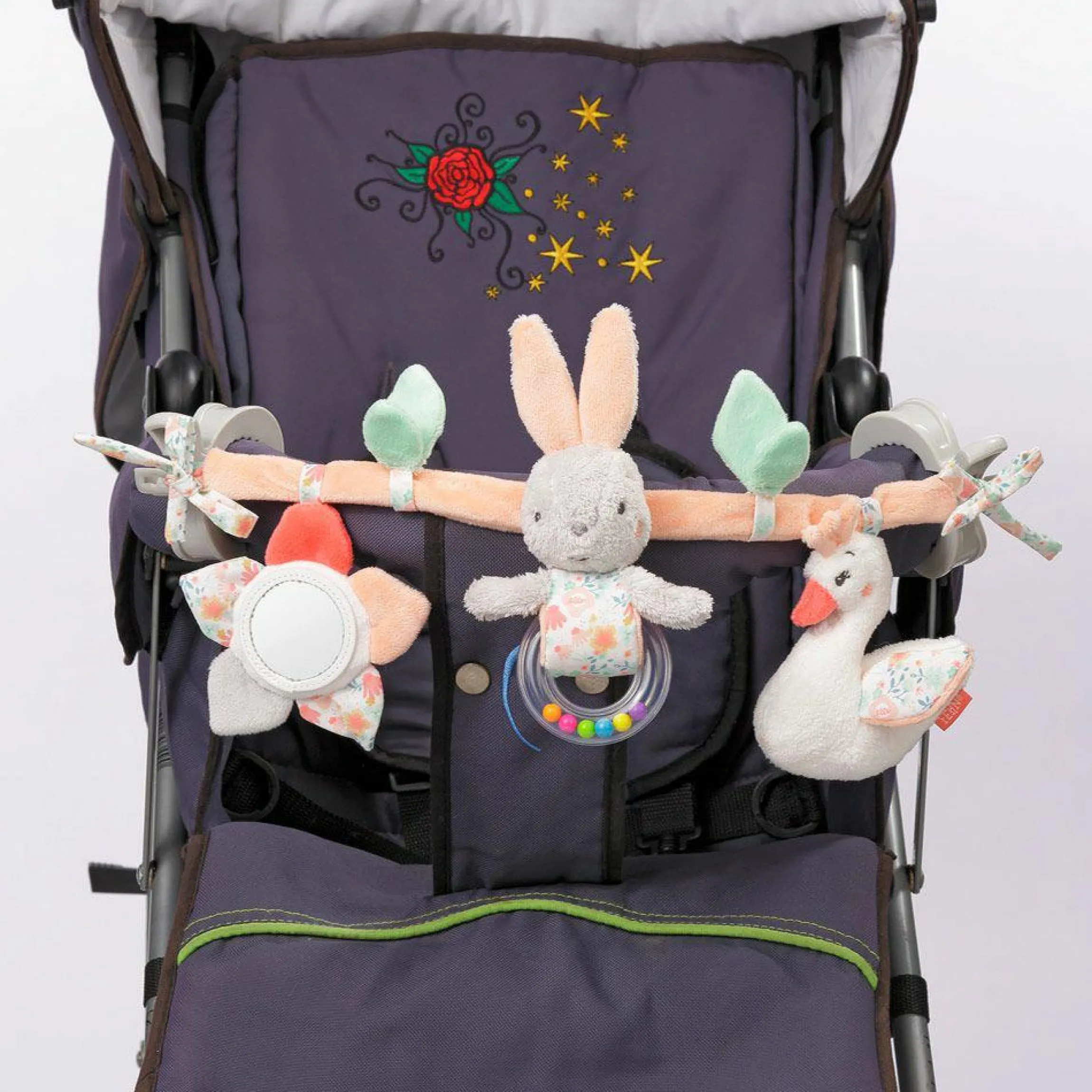 Kinderwagenkette Schwanen See