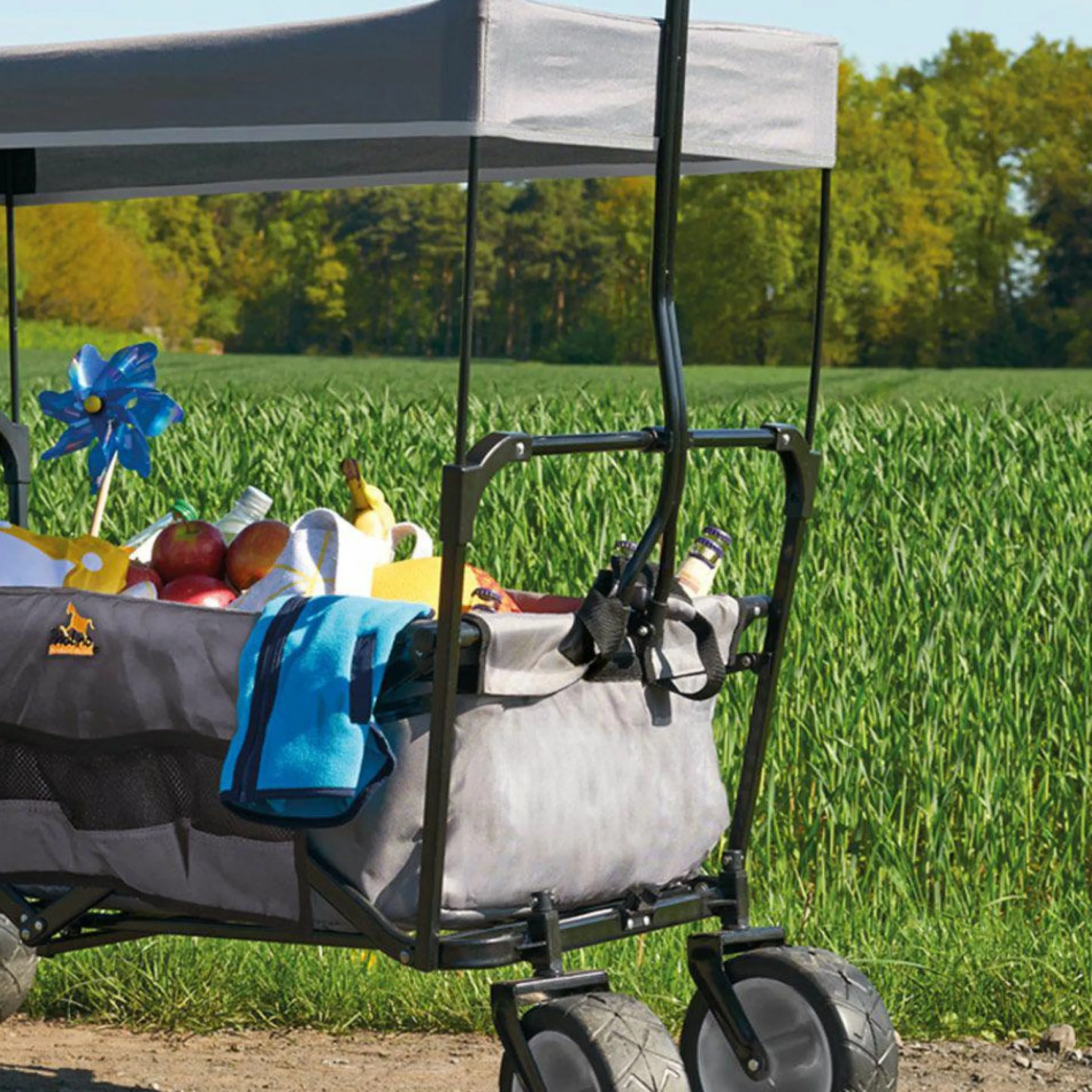 Klappbollerwagen Paxi - Grau