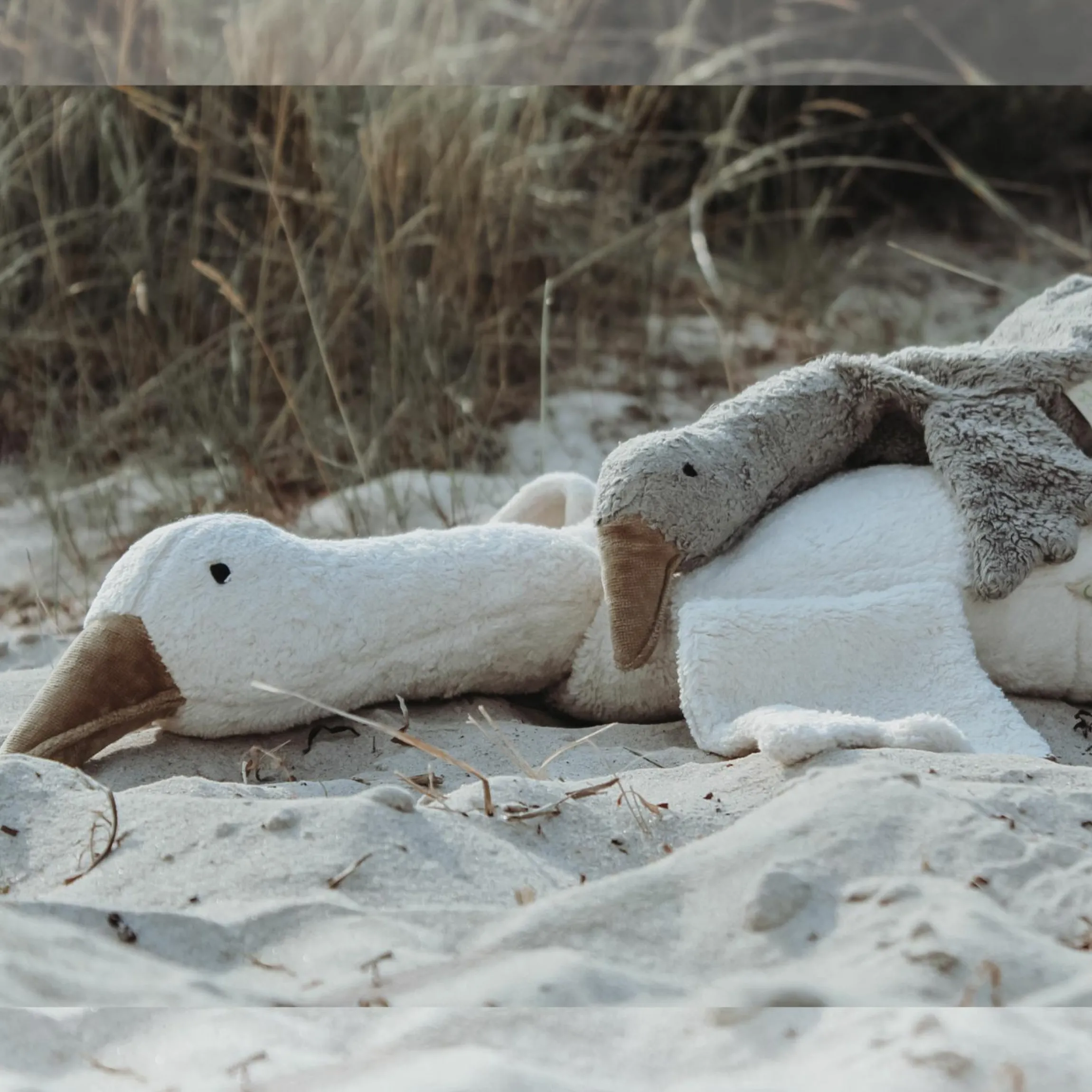 Kuscheltier mit Wärmekissen / Stillkissen Gans Groß 80 cm - aus Bio-Baumwolle GOTS mit Dinkelspreu-Füllung - Weiß