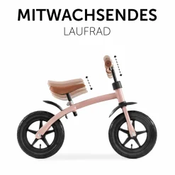 Laufrad E Z Rider 12 - Matt Rose