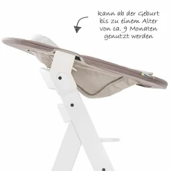 Neugeborenenaufsatz & Wippe für Alpha Hochstuhl - Bouncer 2in1 - Stretch Beige