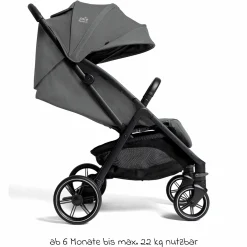 Reisebuggy & Sportwagen Parcel LX bis 22 kg belastbar nur 7,7 kg leicht mit Liegefunktion inkl. Regenschutz, Adapter & Transporttasche - Signature - Ebony