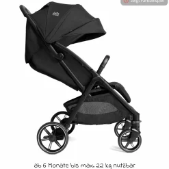 Reisebuggy & Sportwagen Parcel LX bis 22 kg belastbar nur 7,7 kg leicht mit Liegefunktion inkl. Regenschutz, Adapter & Transporttasche - Signature - Evergreen