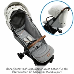 Reisebuggy & Sportwagen Parcel bis 22 kg belastbar nur 6,9 kg leicht mit Liegefunktion inkl. Regenschutz, Insektenschutz, Adapter & Transporttasche - Signature - Oyster