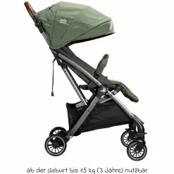 Reisebuggy & Sportwagen Tourist bis 15 kg belastbar nur 6,6 kg leicht mit Liegefunktion inkl. Regenschutz, Adapter, Tragegurt & Tragetasche - Signature - Pine