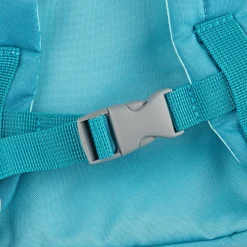 Rucksack Drache