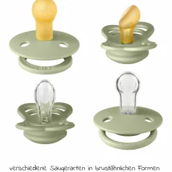 Schnuller Probierset - Try-it Collection 4er Pack - Sage - Gr. 0-6 M