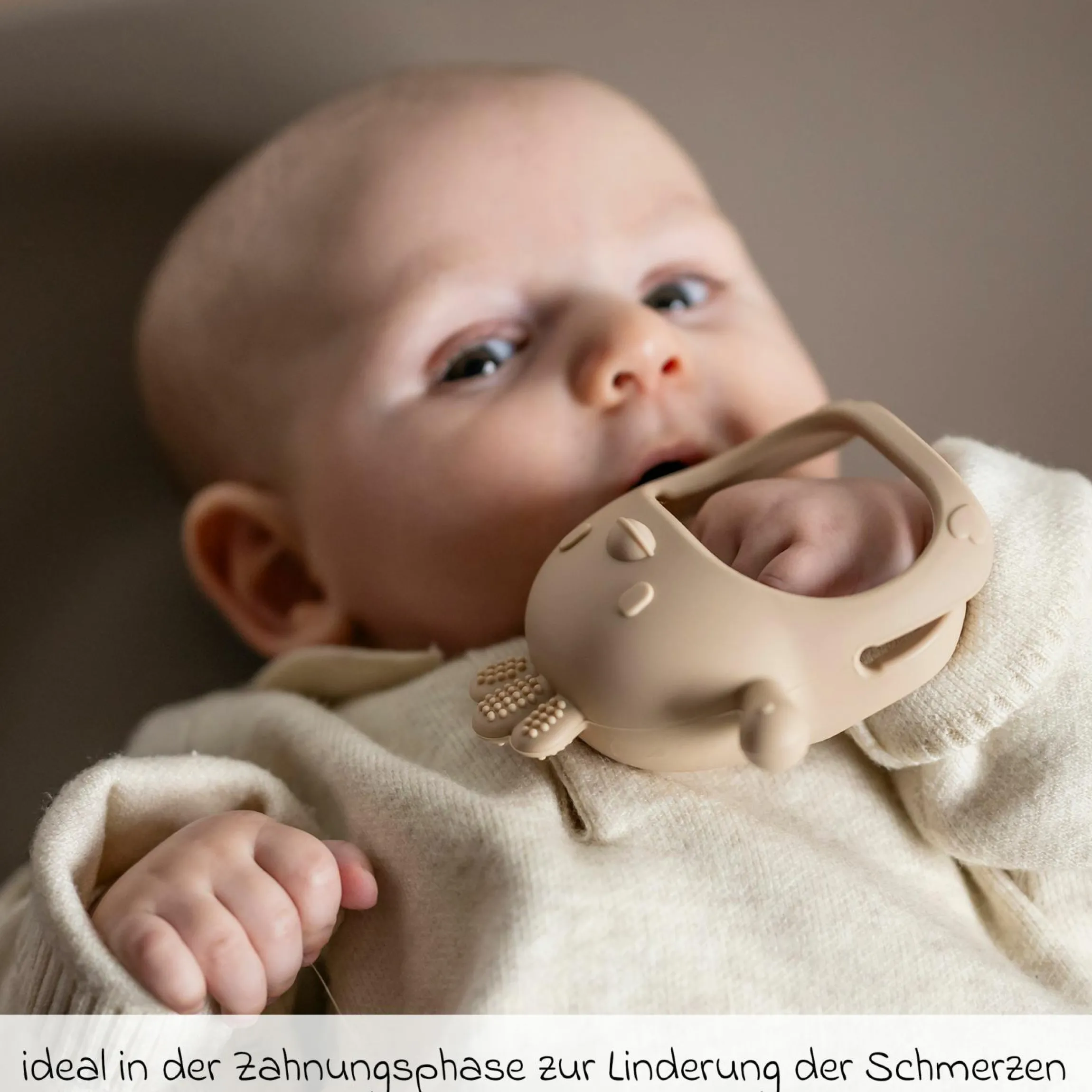 Silikon-Beißring Beißhandschuh - Clay