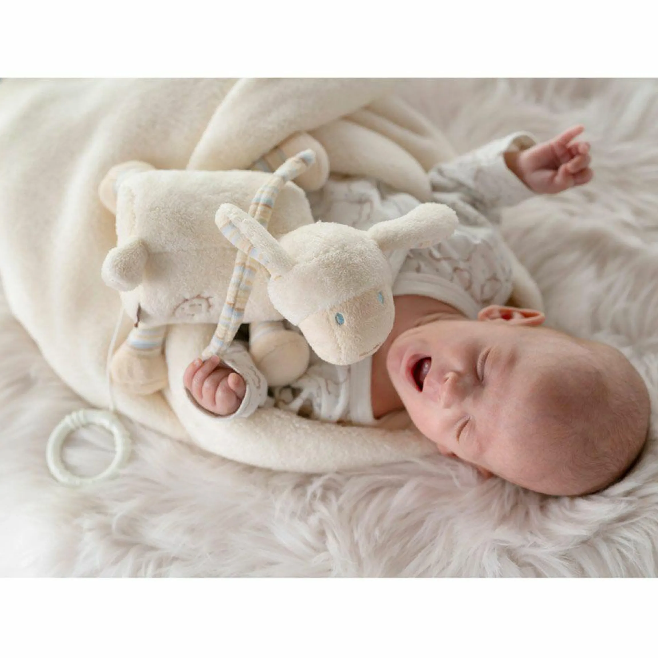 Spieluhr Schaf - Baby Love