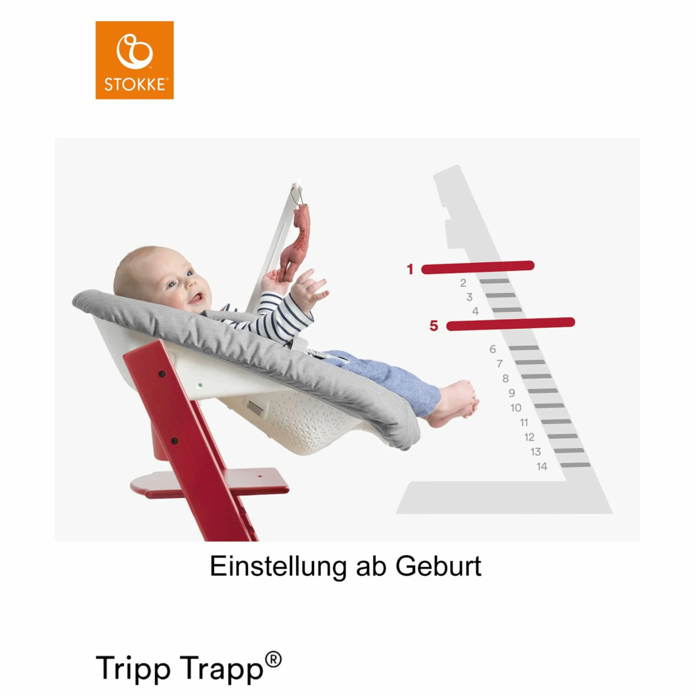 Tripp Trapp® Natur Newborn Set - Hochstuhl + Neugeborenenaufsatz (verstellbar) Grey