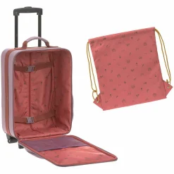 Trolley - Adventure Dragonfly