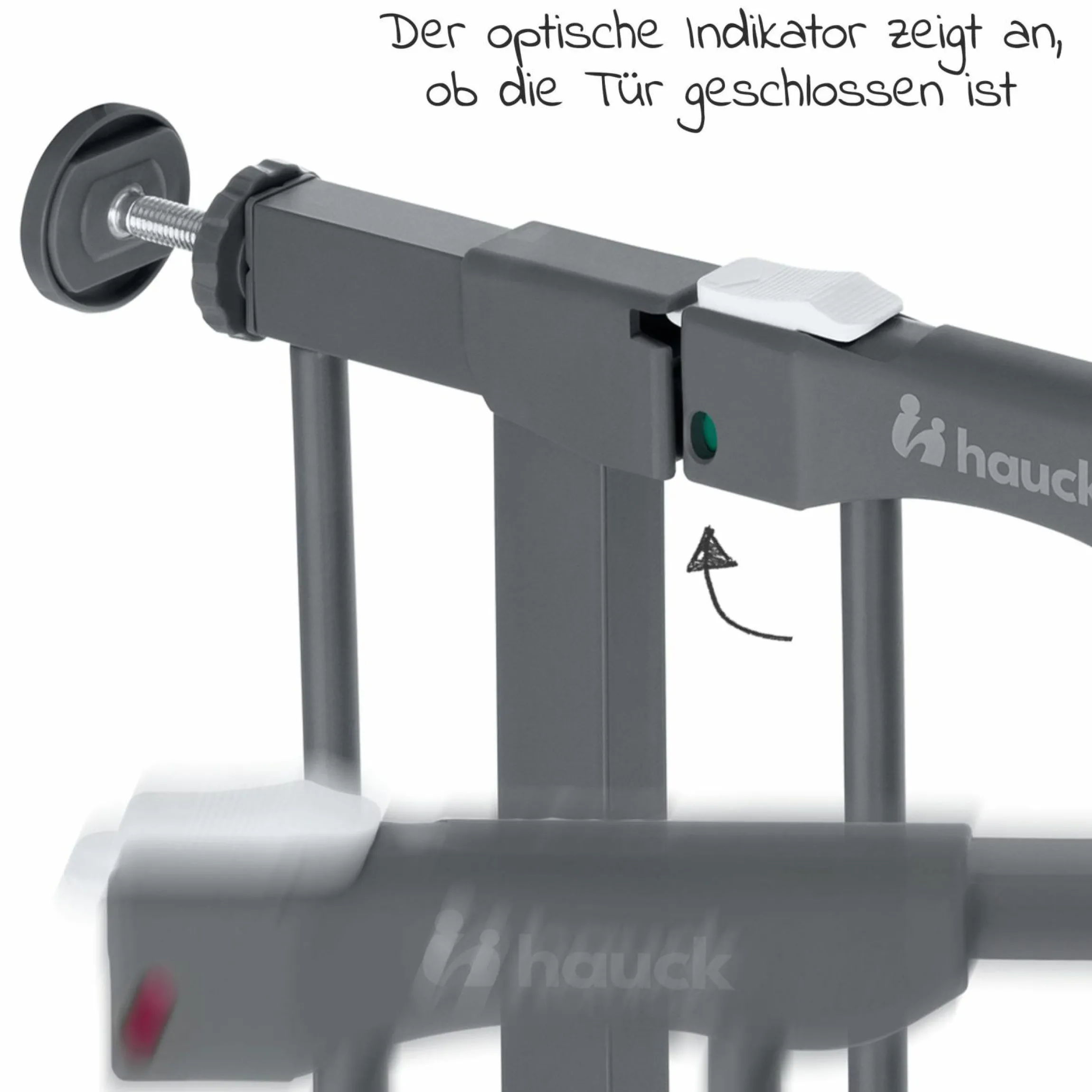 Türschutzgitter Clear Step Autoclose 2 - Dark Grey