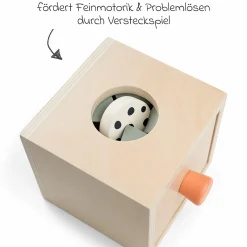 Versteck- & Finde-Box - Nozo