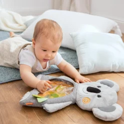 Wasser-Spielmatte Koala