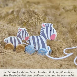 Ziehtier Zebras